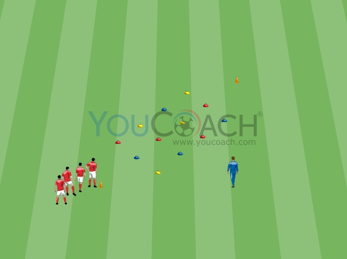 Habilidade cognitiva e potência muscular - Twister