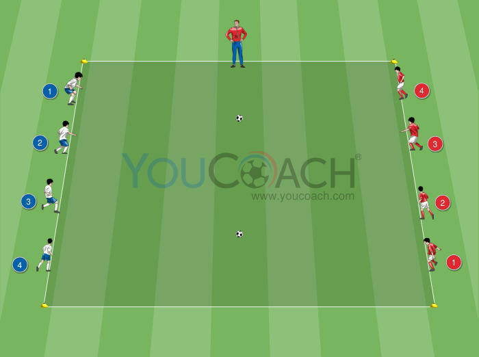 Habilidades motoras básicas e cognitivas: O espólio